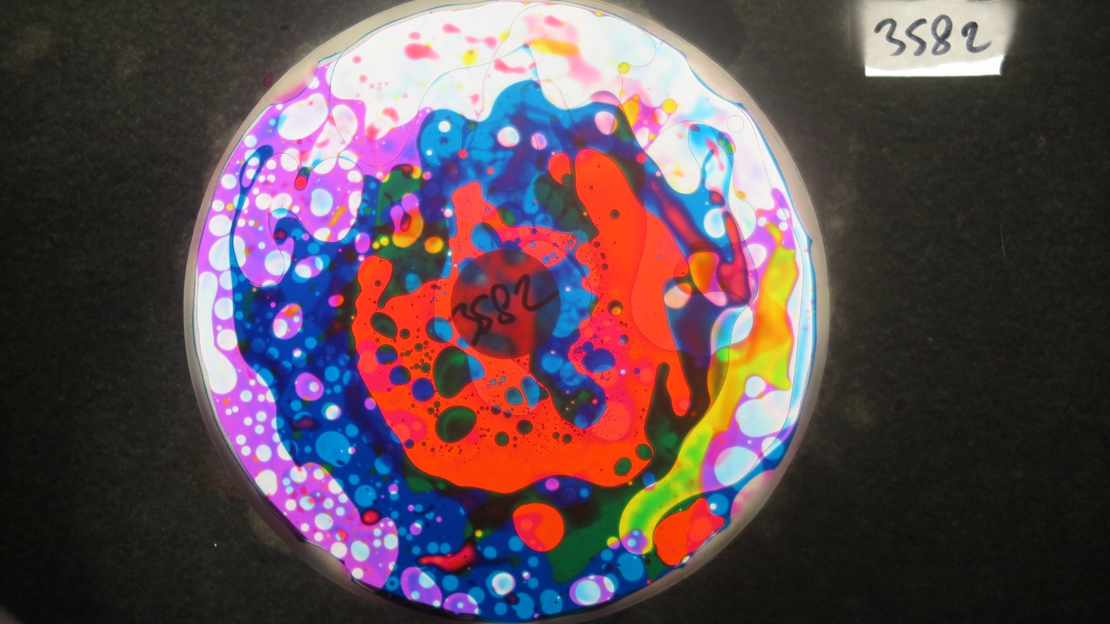 BV3582 bubble vision oil wheel